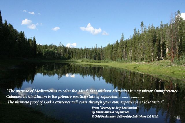 PY Quotes Calmness in meditation Reflection trees 2014