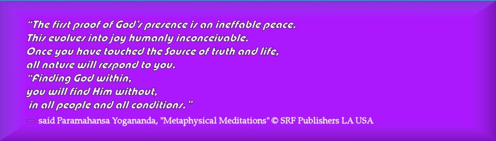 PY Quotes Meditation 6 2014